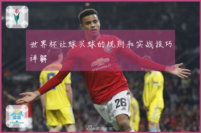 世界杯让球买球的规则和实战技巧详解
