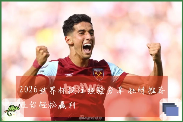 2026世界杯投注经验分享 独特推荐让你轻松赢利