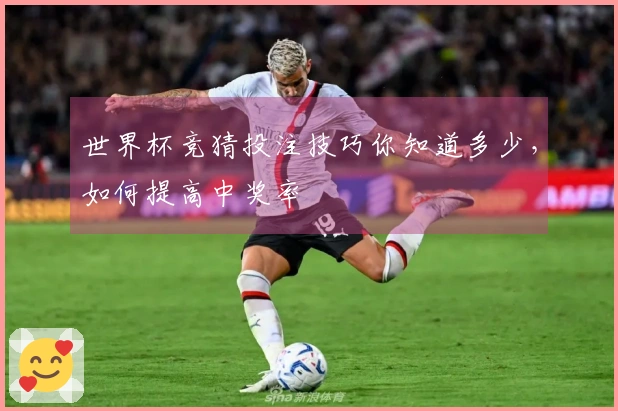 世界杯竞猜投注技巧你知道多少，如何提高中奖率