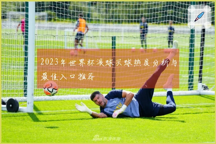 2023年世界杯滚球买球热度分析与最佳入口推荐
