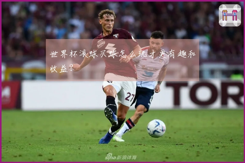 世界杯滚球买球怎么玩才更有趣和收益？
