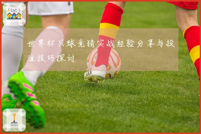 世界杯买球竞猜实战经验分享与投注技巧探讨