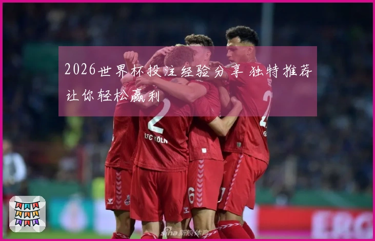 2026世界杯投注经验分享 独特推荐让你轻松赢利